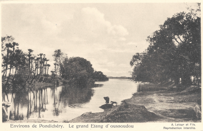 12-19 - Environs de Pondichery - grand etang Oussoudou - 2